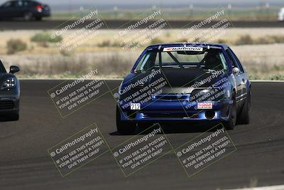 media/May-10-2025-Light Speed Track Events (Sat) [[c99cd30d1b]]/Purple Group/Turn 3/